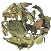 Pai Mu Tan
