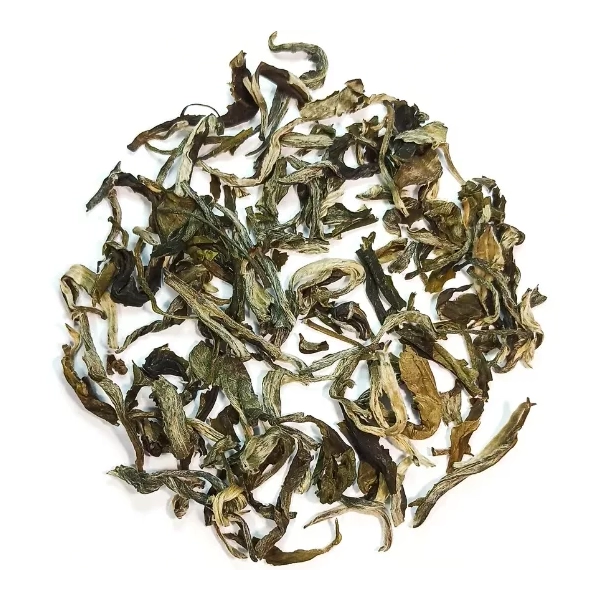 Monkey White
