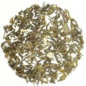 Jasmine Yunnan Green Jasmine Yunnan Green