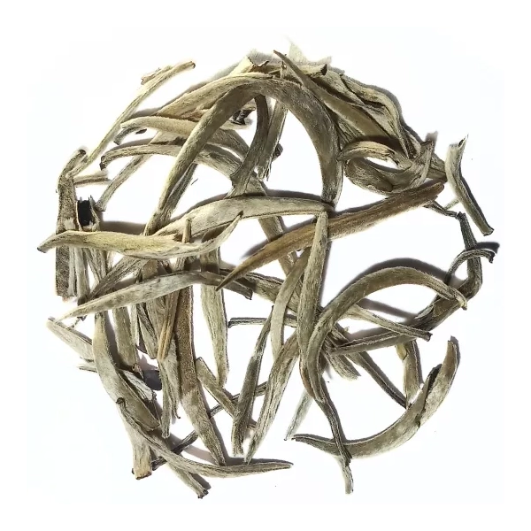 Silver Needle